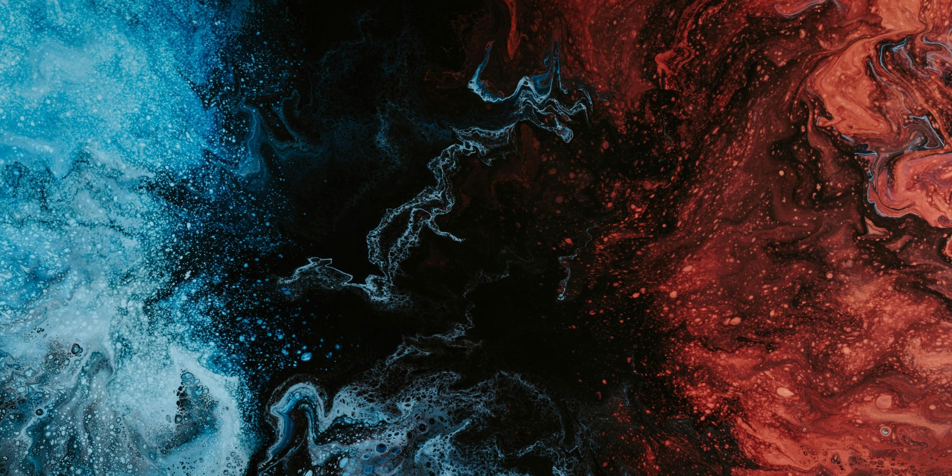 明星冠军经纪<br><span>赋能品牌新高度</span>