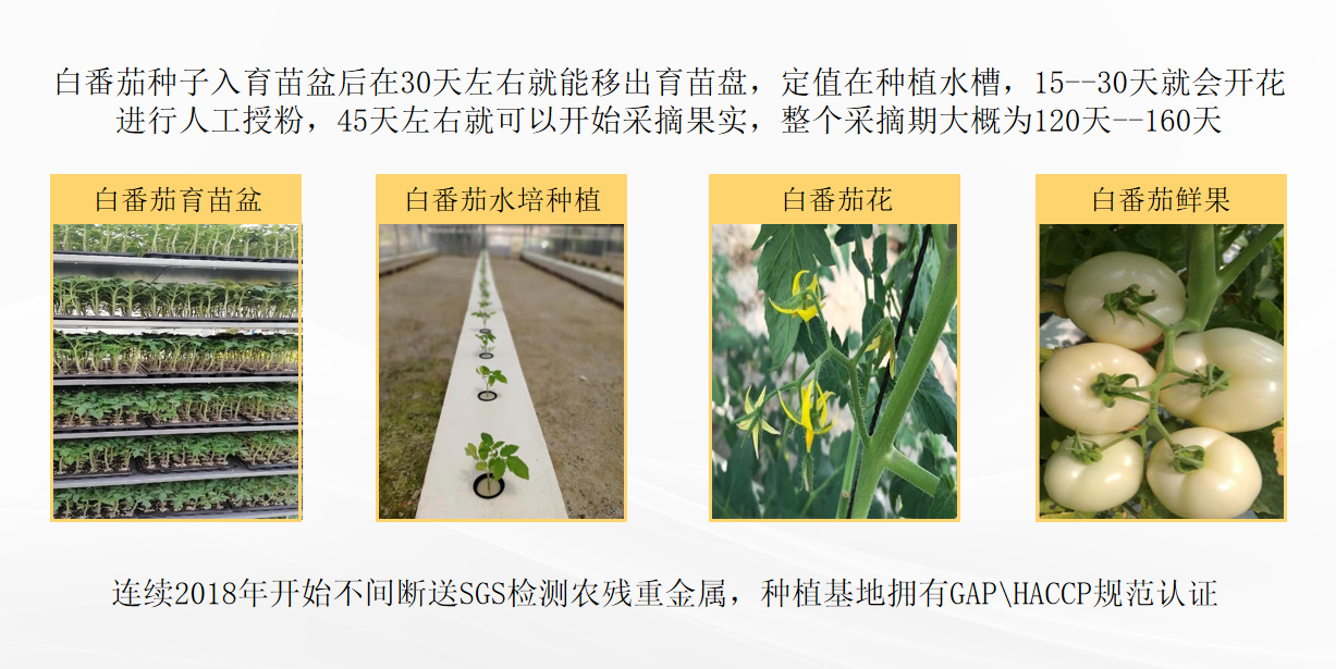 破译时光密码，雅至优品以植萃科技唤醒“她力量”
