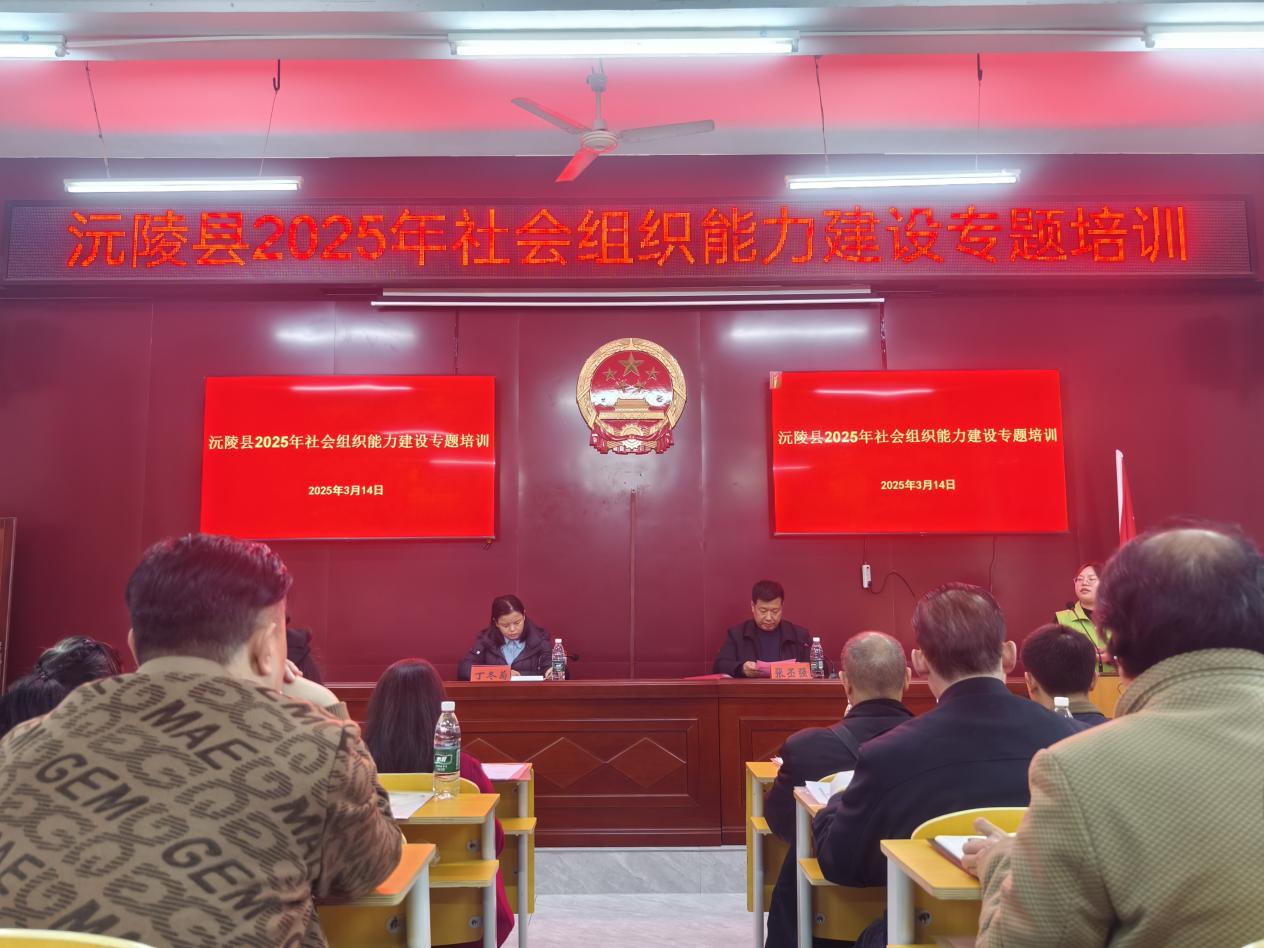 赋能社会组织，沅陵奏响基层治理奋进曲图1